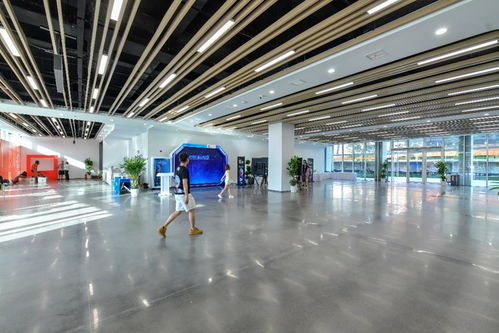 相約湖北 夢(mèng)幻靈境AI展演中心即將開館，共探網(wǎng)絡(luò)技術(shù)開發(fā)新前沿